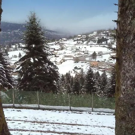 1-pokojowe, Wspaniałe Mieszkanie W Gérardmer